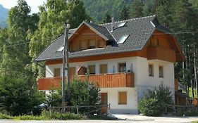 Apartmaji Lajf